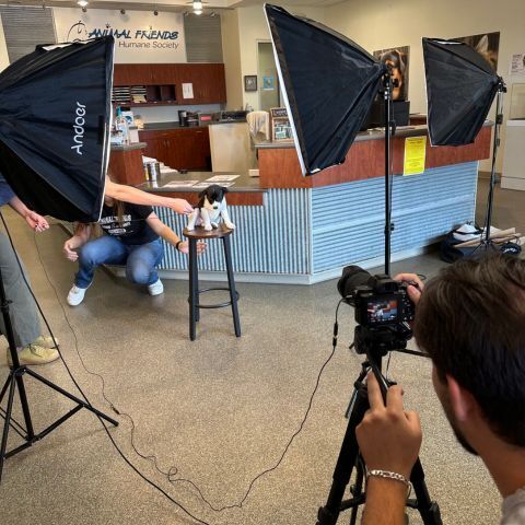 taking photos at an animal shelter with puppy on stool