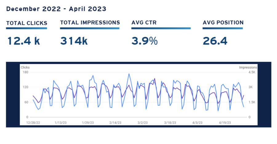 Google Search Console Data