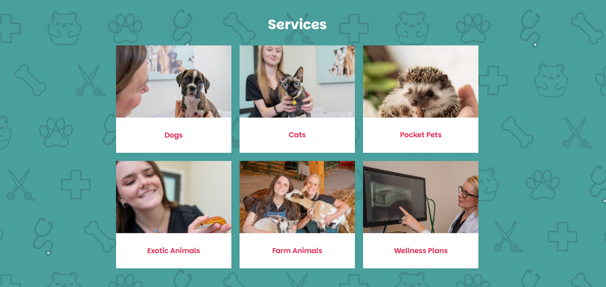 Lebanon Small Animal Clinic Services section on website